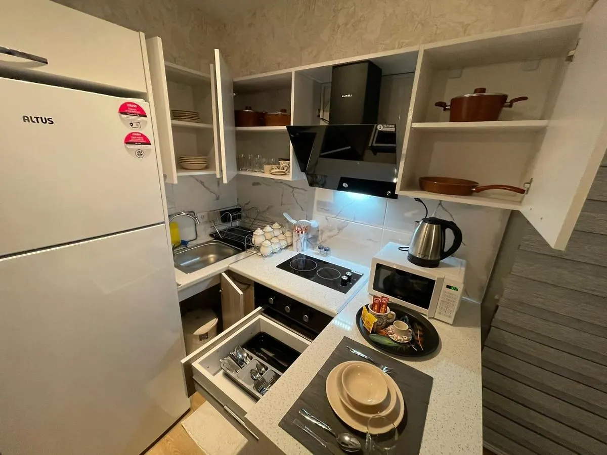 Apartment King Suite Ms5 Istanbul Turkey